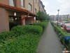 Obraz w galerii